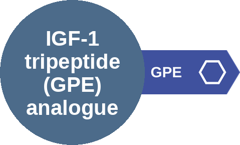 IGF-1 tripeptide (GPE) analogue — mechanism peg (Ballicules)