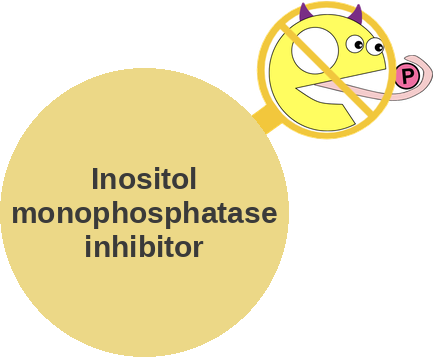 Inositol monophosphatase inhibitor — mechanism peg (Ballicules)