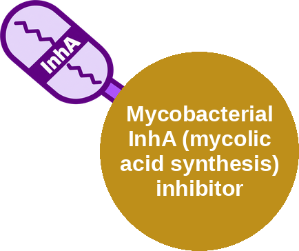 Mycobacterial InhA (mycolic acid synthesis) inhibitor — mechanism peg (Ballicules)