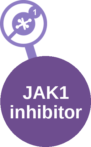 JAK1 inhibitor — mechanism peg