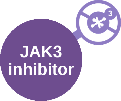 JAK3 inhibitor — mechanism peg
