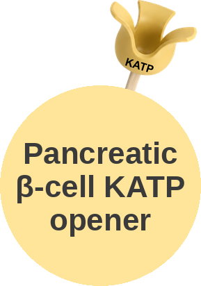 Pancreatic β-cell KATP channel opener (Kir6.2/SUR1) — mechanism peg (Ballicules)