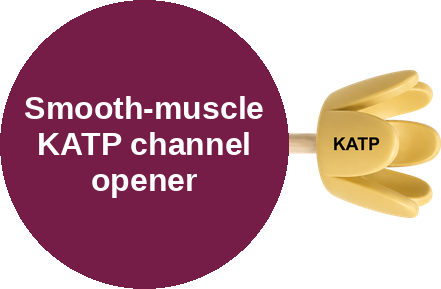 Vascular smooth-muscle KATP channel opener (Kir6.1/SUR2B) — mechanism peg (Ballicules)