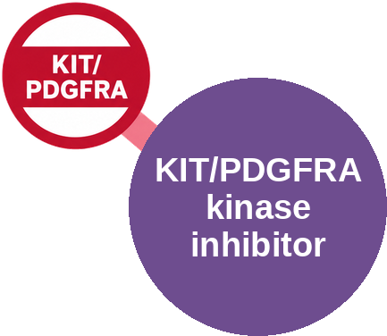 KIT and PDGFRA kinase inhibitor — mechanism peg (Ballicules)