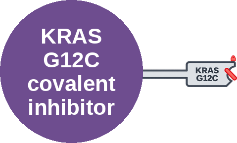 KRAS G12C covalent inhibitor — mechanism peg (Ballicules)