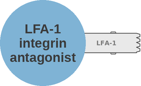 LFA-1 integrin antagonist — mechanism peg (Ballicules)