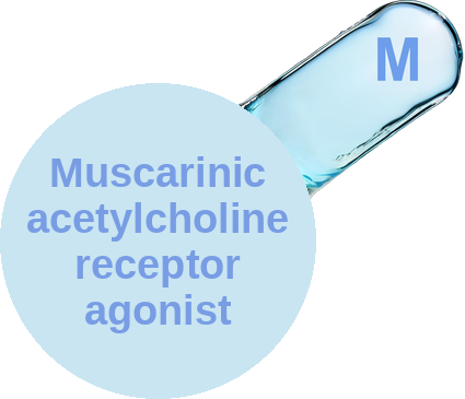 Muscarinic acetylcholine receptor agonist — mechanism peg (Ballicules)