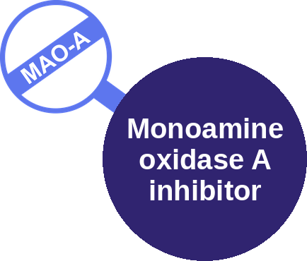 Monoamine oxidase A inhibitor — mechanism peg (Ballicules)