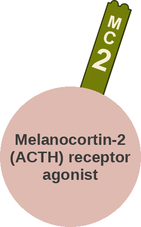 Melanocortin-2 (ACTH) receptor agonist — mechanism peg (Ballicules)