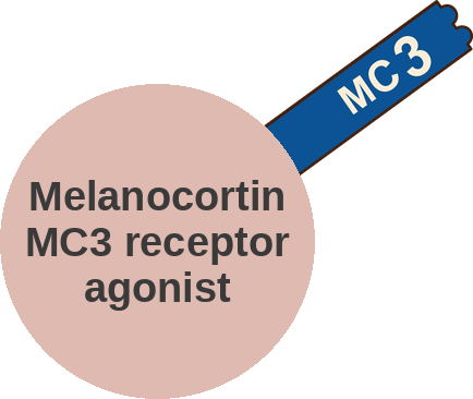 Melanocortin MC3 receptor agonist — mechanism peg (Ballicules)