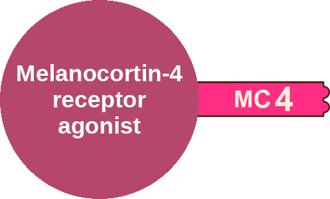 Melanocortin-4 receptor agonist — mechanism peg (Ballicules)