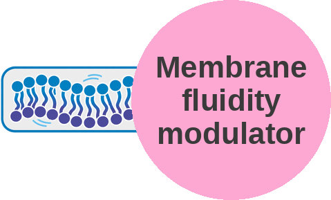 Membrane fluidity modulator — mechanism peg (Ballicules)