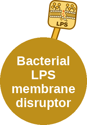 Bacterial LPS membrane disruptor — mechanism peg (Ballicules)