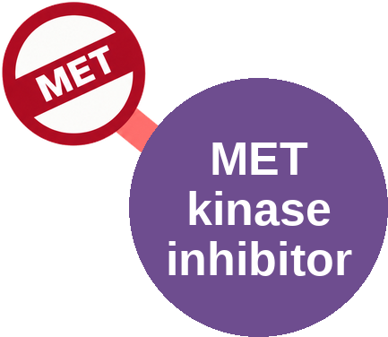 MET receptor tyrosine kinase inhibitor — mechanism peg (Ballicules)