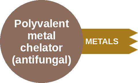 Polyvalent metal chelator (antifungal) — mechanism peg (Ballicules)