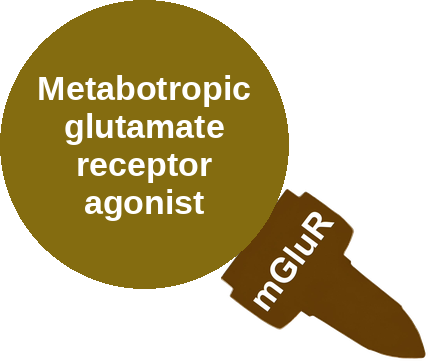 Metabotropic glutamate receptor agonist — mechanism peg (Ballicules)