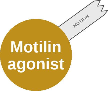 Motilin agonist — mechanism peg (Ballicules)