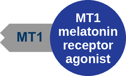 MT1 melatonin receptor agonist — mechanism peg (Ballicules)