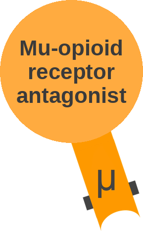 Mu-opioid receptor antagonist — mechanism peg (Ballicules)