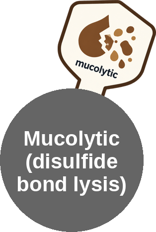 Mucolytic (disulfide bond lysis) — mechanism peg (Ballicules)