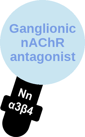 Ganglionic nicotinic (α3β4) receptor antagonist — mechanism peg (Ballicules)