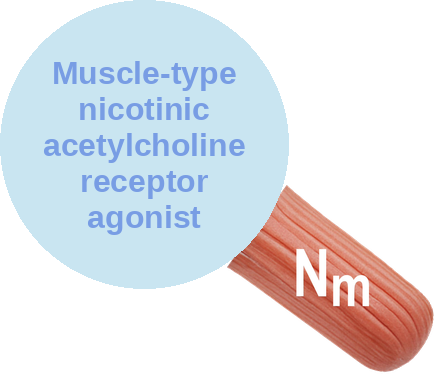 Muscle-type nicotinic acetylcholine receptor agonist — mechanism peg (Ballicules)