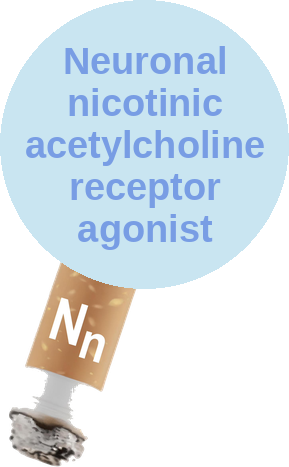 Neuronal nicotinic acetylcholine receptor agonist — mechanism peg (Ballicules)