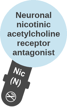 Neuronal nicotinic acetylcholine receptor antagonist — mechanism peg (Ballicules)