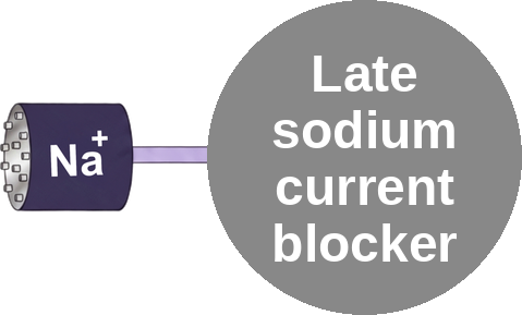 Late sodium current blocker — mechanism peg (Ballicules)