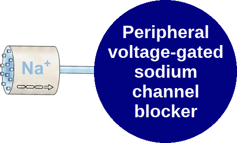 Peripheral voltage-gated sodium channel blocker — mechanism peg (Ballicules)