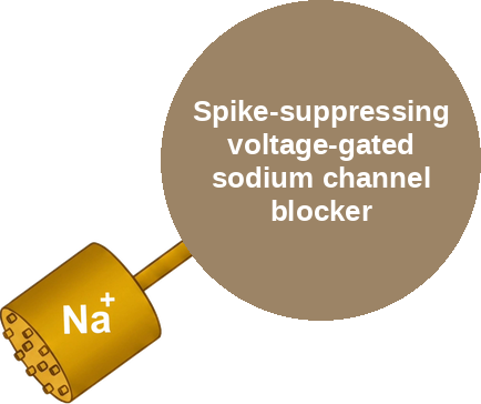 Spike-suppressing voltage-gated sodium channel blocker — mechanism peg (Ballicules)