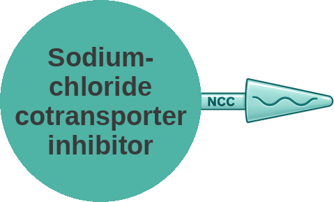 Sodium-chloride cotransporter inhibitor — mechanism peg (Ballicules)