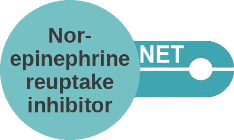 Norepinephrine reuptake inhibitor — mechanism peg (Ballicules)