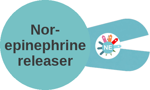 Norepinephrine releaser — mechanism peg (Ballicules)