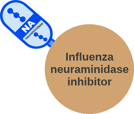 Influenza neuraminidase inhibitor — mechanism peg (Ballicules)