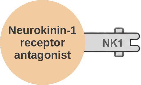 Neurokinin-1 receptor antagonist — mechanism peg (Ballicules)