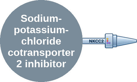 Sodium-potassium-chloride cotransporter 2 inhibitor — mechanism peg (Ballicules)
