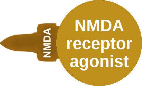 NMDA receptor agonist — mechanism peg (Ballicules)