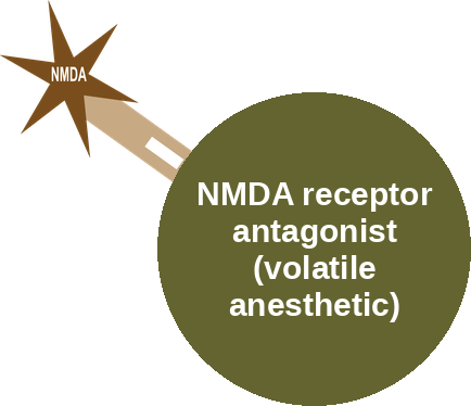 NMDA receptor antagonist (volatile anesthetic) — mechanism peg (Ballicules)