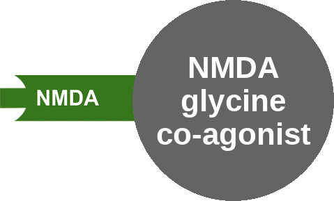 NMDA glycine co-agonist — mechanism peg (Ballicules)