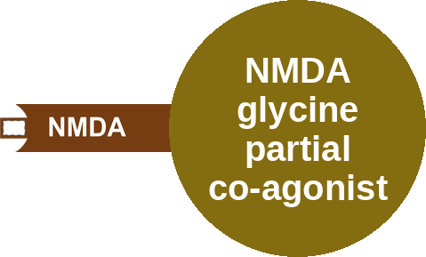 NMDA glycine partial co-agonist — mechanism peg (Ballicules)