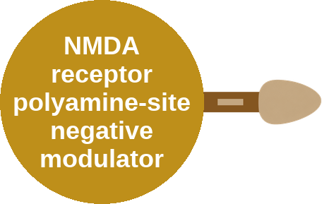 NMDA receptor polyamine-site negative modulator — mechanism peg (Ballicules)