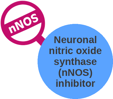 Neuronal nitric oxide synthase (nNOS) inhibitor — mechanism peg (Ballicules)
