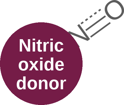 Nitric oxide donor — mechanism peg (Ballicules)