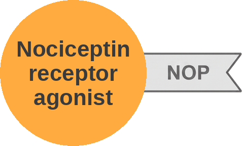 Nociceptin receptor agonist — mechanism peg (Ballicules)