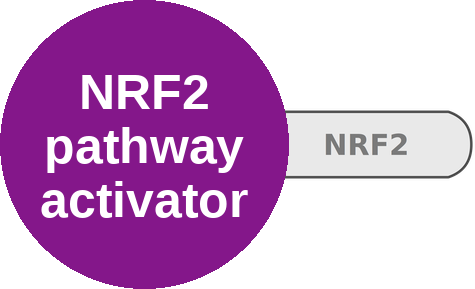 NRF2 pathway activator — mechanism peg (Ballicules)