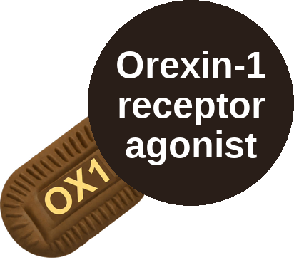 Orexin-1 receptor agonist — mechanism peg (Ballicules)