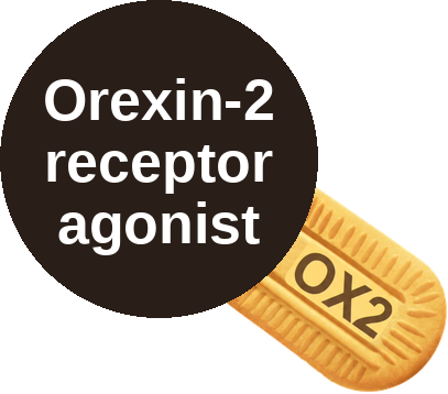 Orexin-2 receptor agonist — mechanism peg (Ballicules)