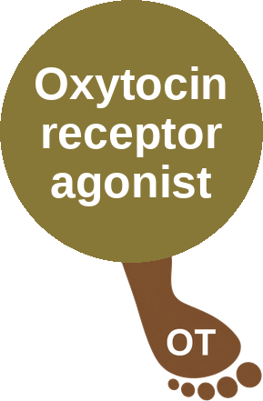 Oxytocin receptor agonist — mechanism peg (Ballicules)