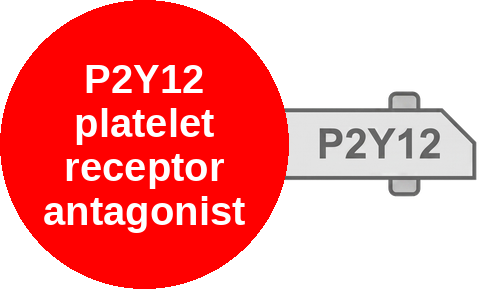 P2Y12 platelet receptor antagonist — mechanism peg (Ballicules)